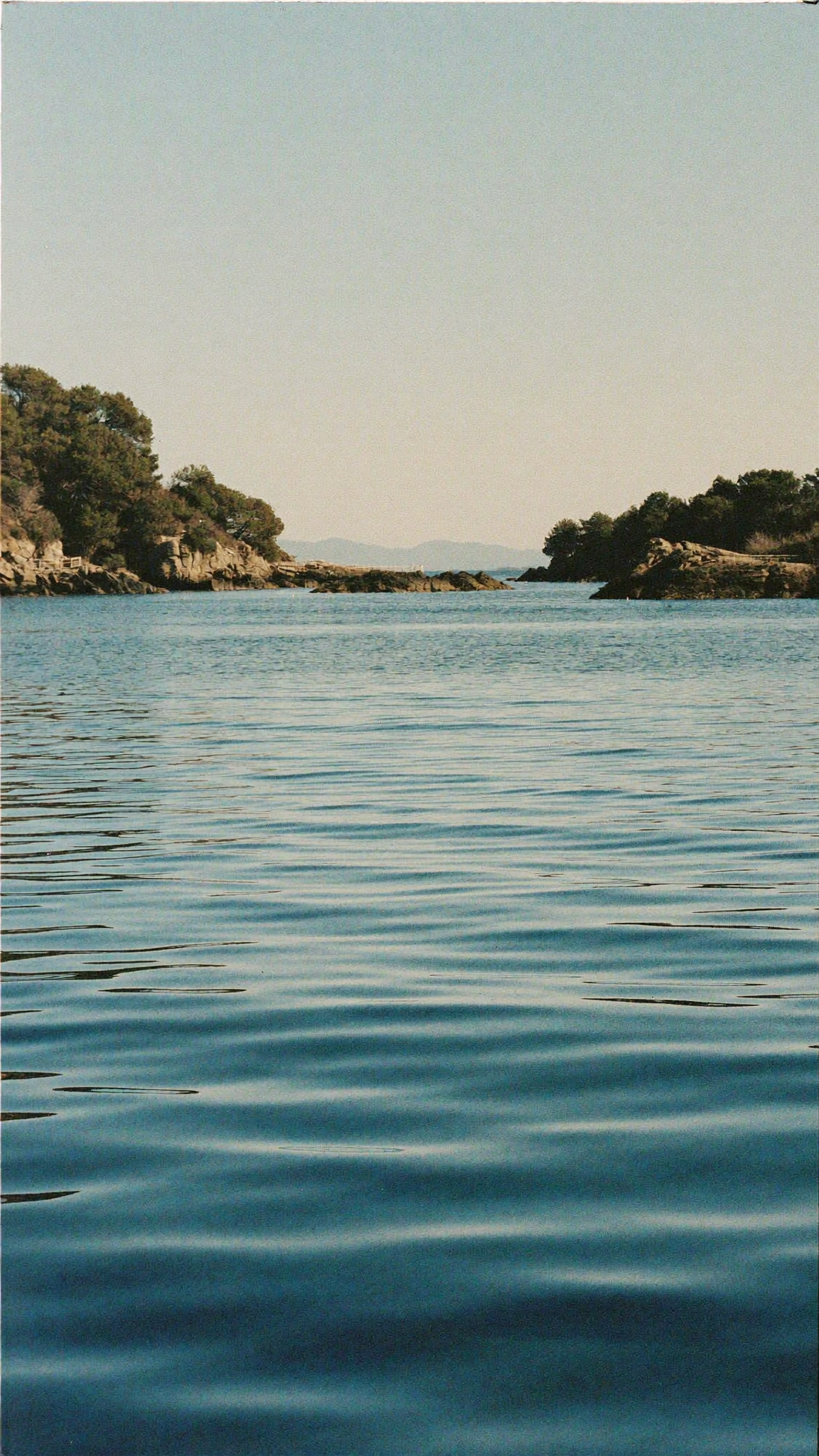 Water